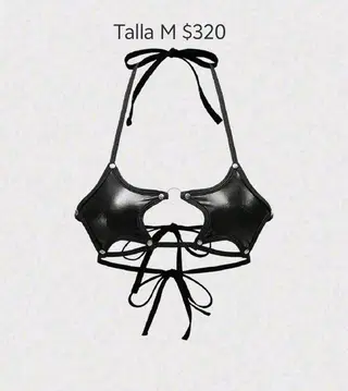 Arnes color negro talla M